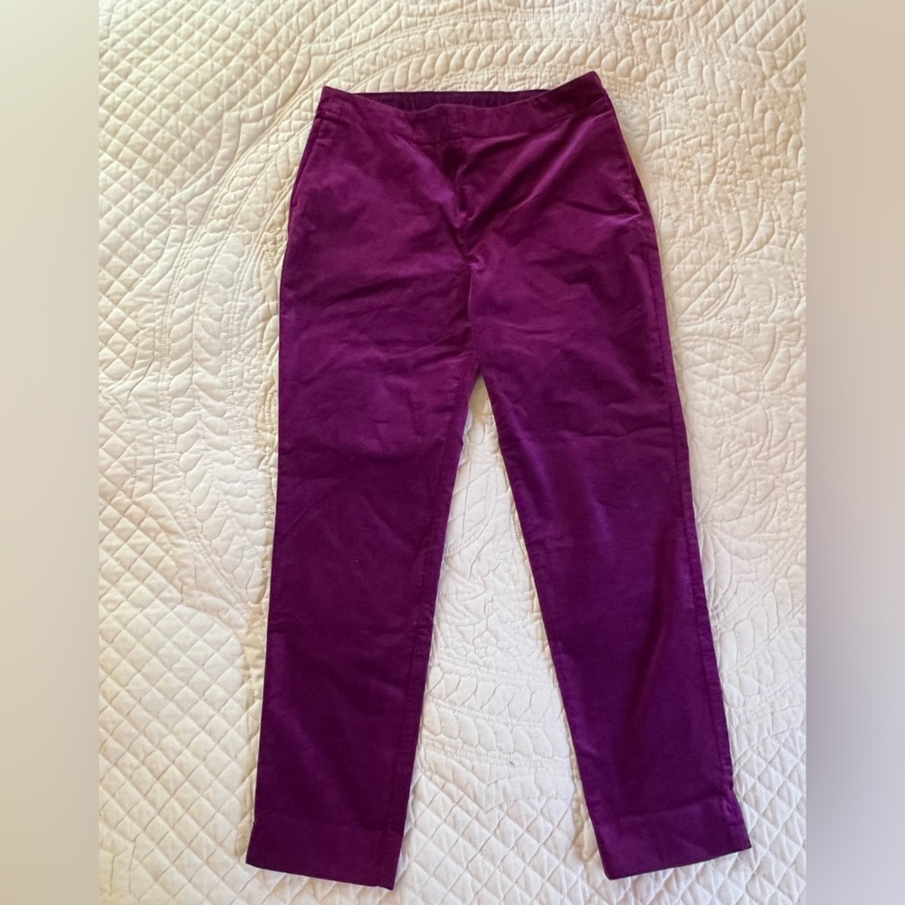 Women’s Velveteen New without Tags, Purple Pants